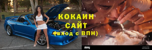 прущие грибы Верхний Тагил