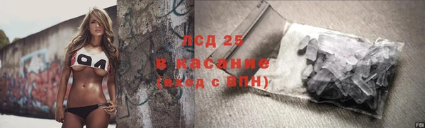 прущие грибы Верхний Тагил