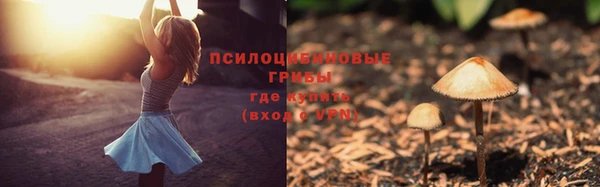 соль ск Осташков