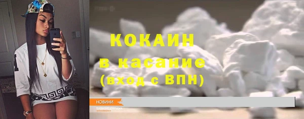 прущие грибы Верхний Тагил