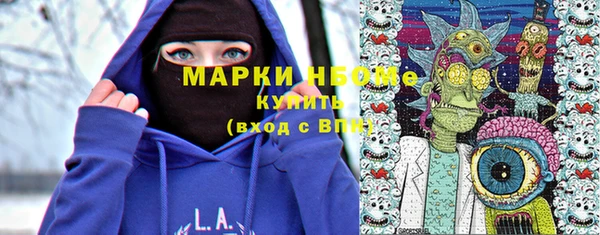 прущие грибы Верхний Тагил