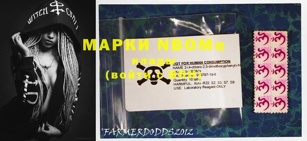 прущие грибы Верхний Тагил
