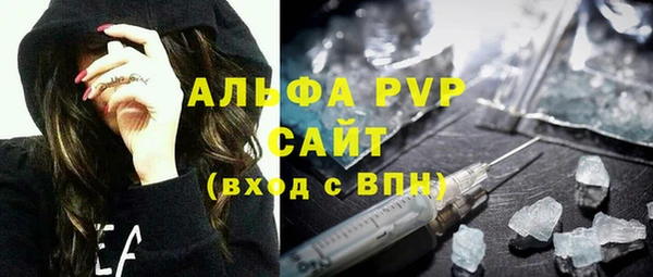 прущие грибы Верхний Тагил