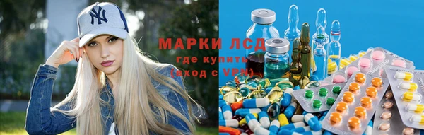 прущие грибы Верхний Тагил