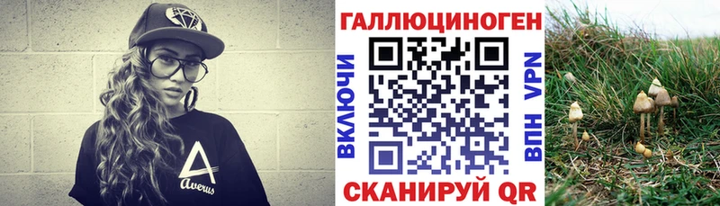 Псилоцибиновые грибы GOLDEN TEACHER что такое Вятские Поляны