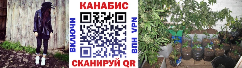 купить наркоту  Вятские Поляны  МАРИХУАНА THC 21% 